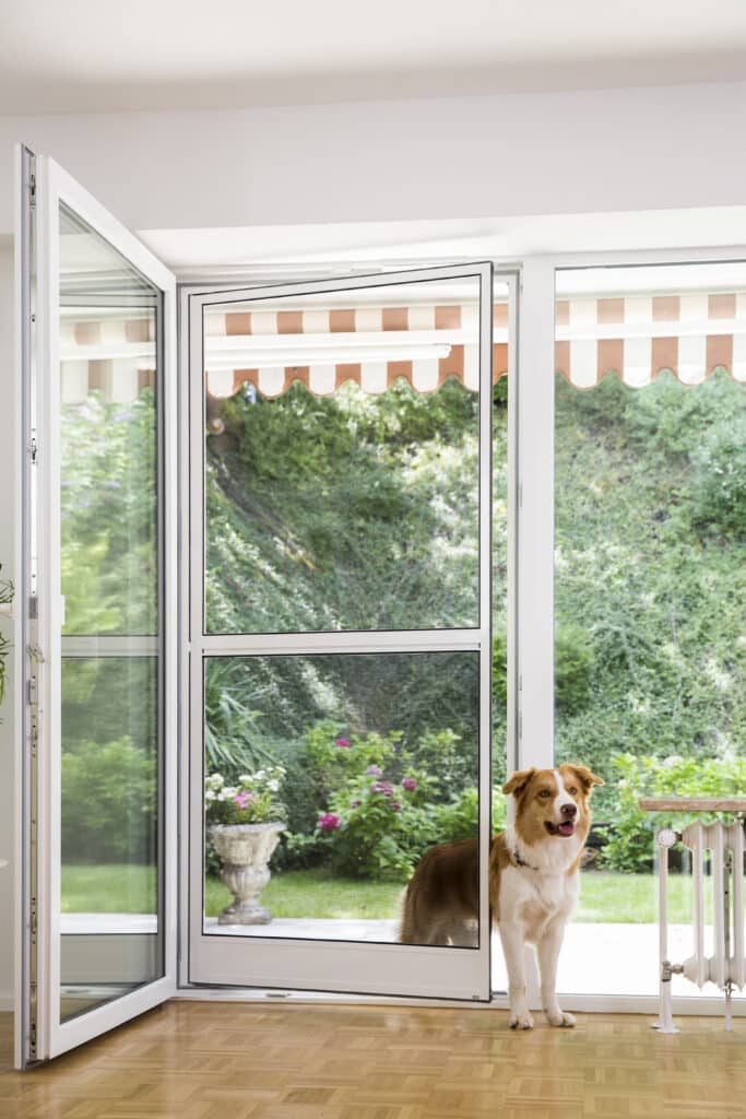 Maßgefertigte Fliegengitter-Pendeltür in Schwetzingen mit Hund an einer Balkon- oder Terrassentür
