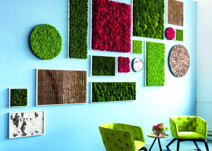Beispielhafte grüne Wandinstallation mit Sitzbereich, kombiniert mit Moosspecials / Premium-Moos-Elementen. Foto: Andreas Schwarz für Freund GmbH. SST – Exclusive als offizieller Handelspartner der Freund GmbH.